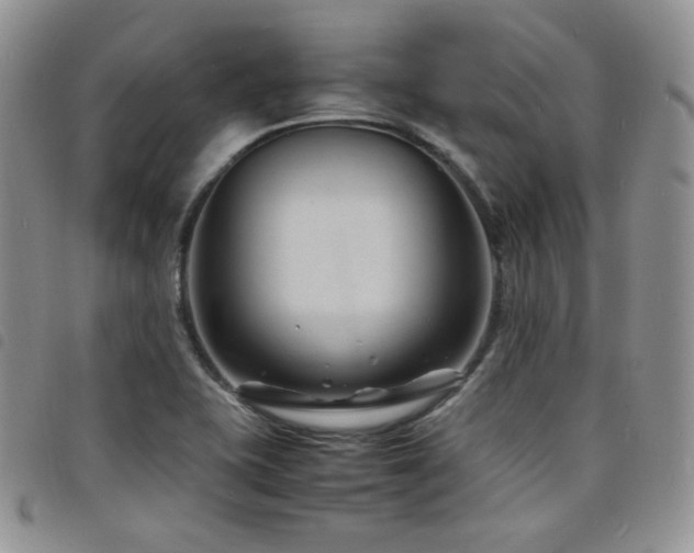 X0000098221415200804241333