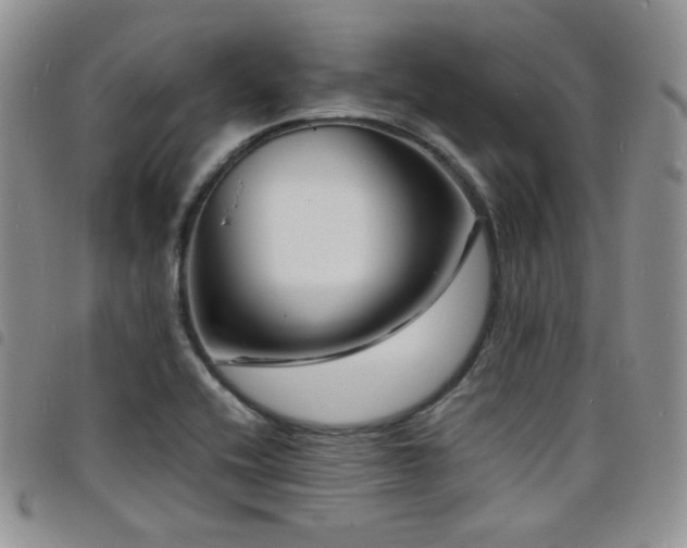 X0000098221416200804241333