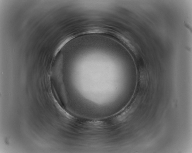 X0000098221417200804241333