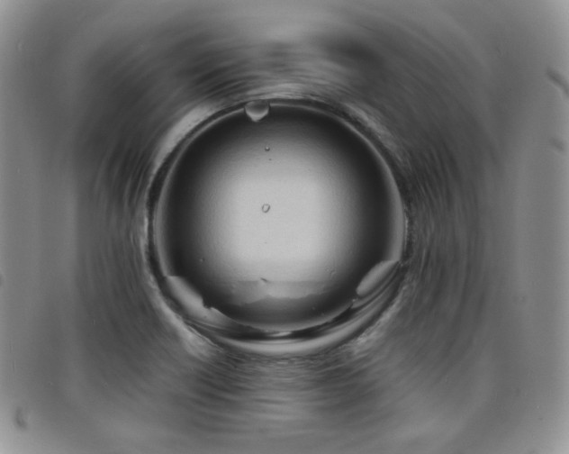 X0000098221418200804241333