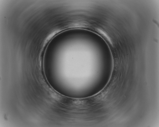 X0000098221419200804241333