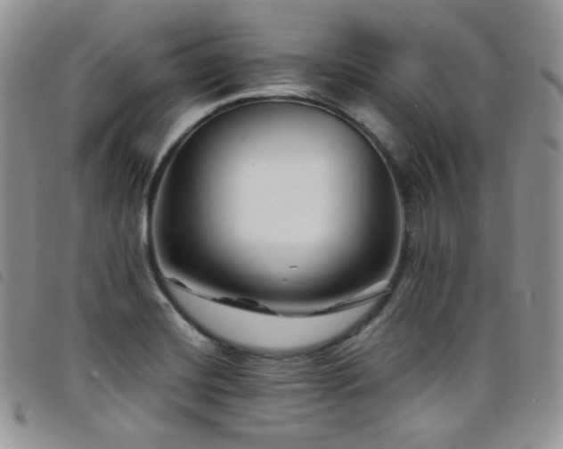 X0000098221420200804241333