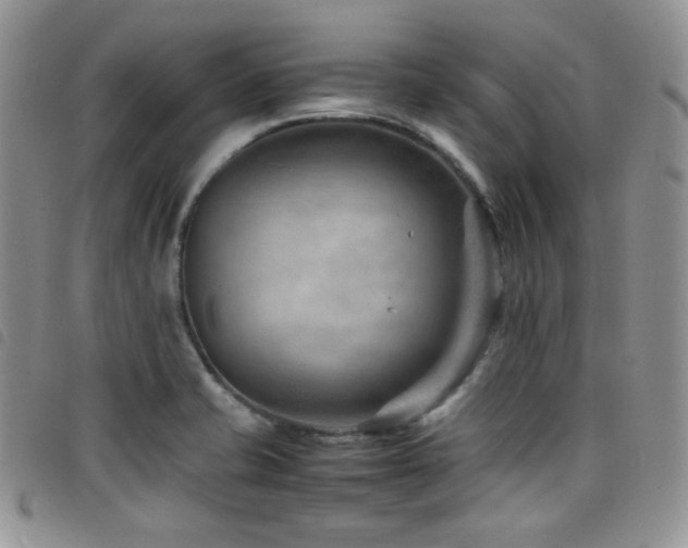 X0000098221421200804241333