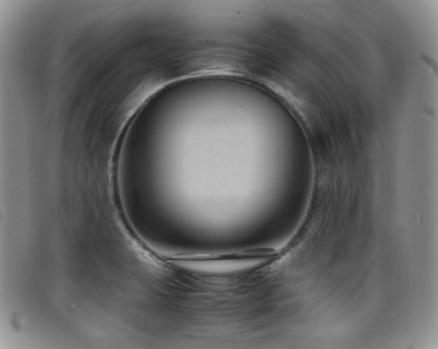 X0000098221423200804241334