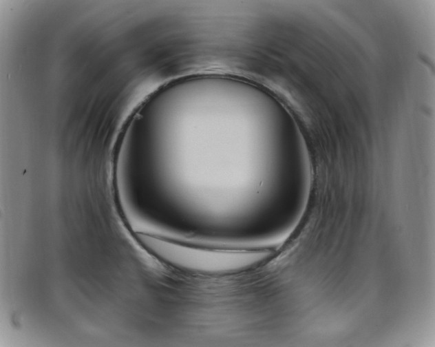 X0000098221424200804241334