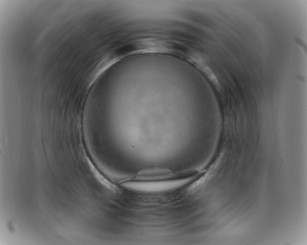 X0000098221425200804241334