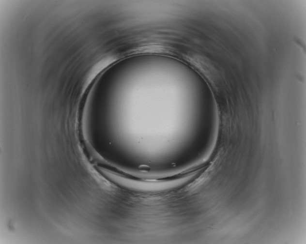 X0000098221426200804241334