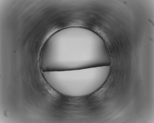 X0000098221427200804241334