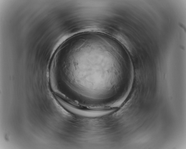 X0000098221428200804241334