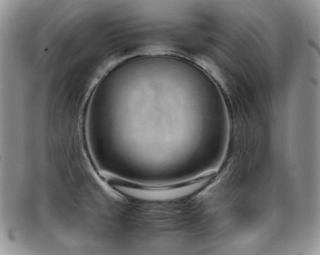 X0000098221429200804241334