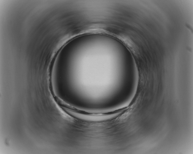 X0000098221430200804241334