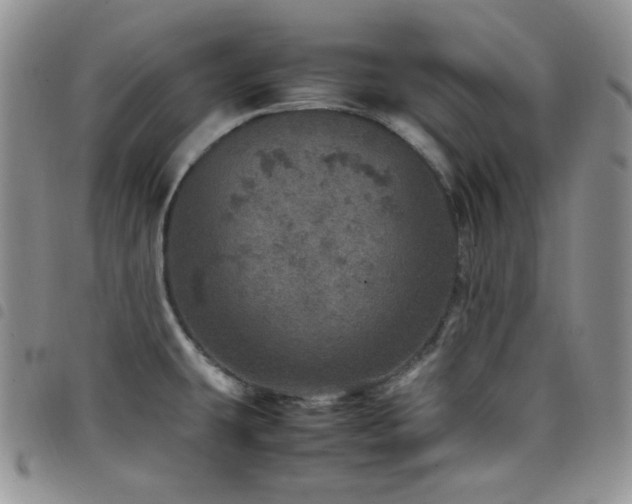 X0000098221431200804241334