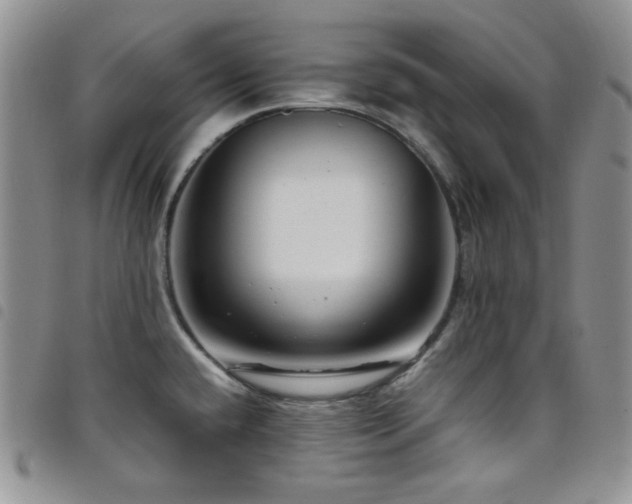 X0000098221432200804241334