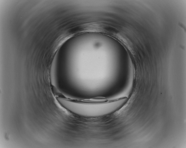 X0000098221433200804241334