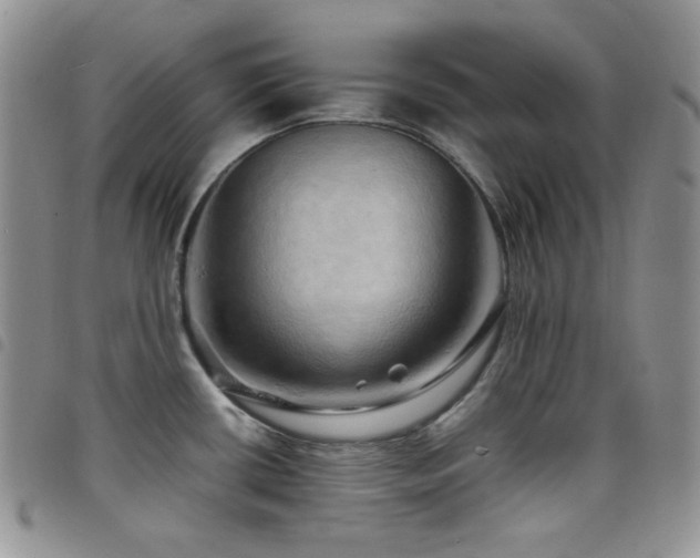 X0000098221434200804241334