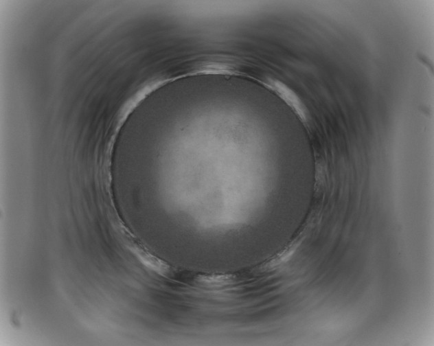 X0000098221435200804241334