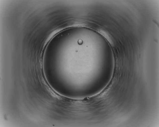 X0000098221436200804241334