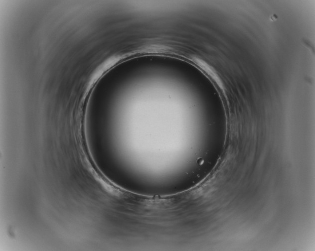 X0000098221437200804241334
