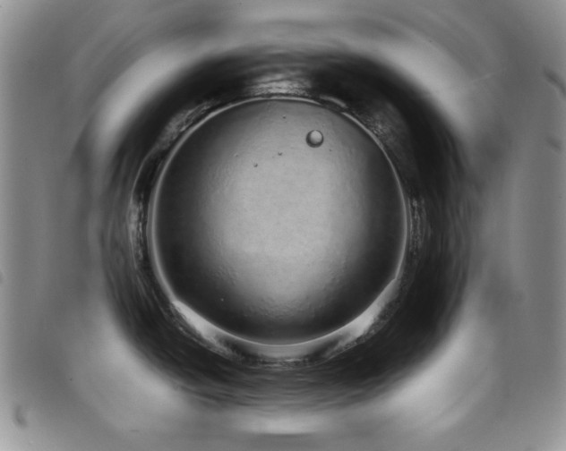X0000098221438200804241334