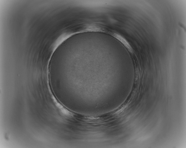 X0000098221439200804241334