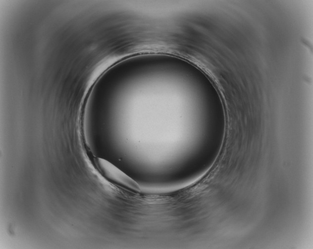 X0000098221440200804241334