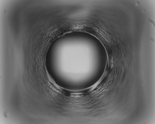 X0000098221441200804241333