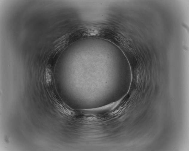 X0000098221442200804241333