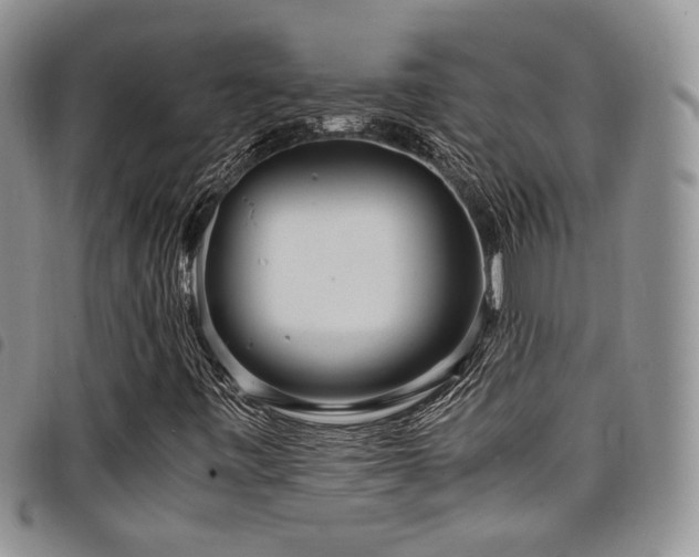 X0000098221443200804241333