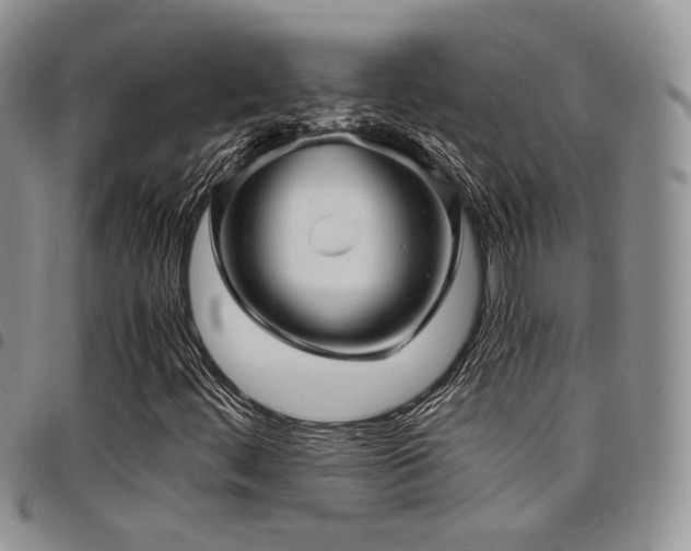X0000098221444200804241333