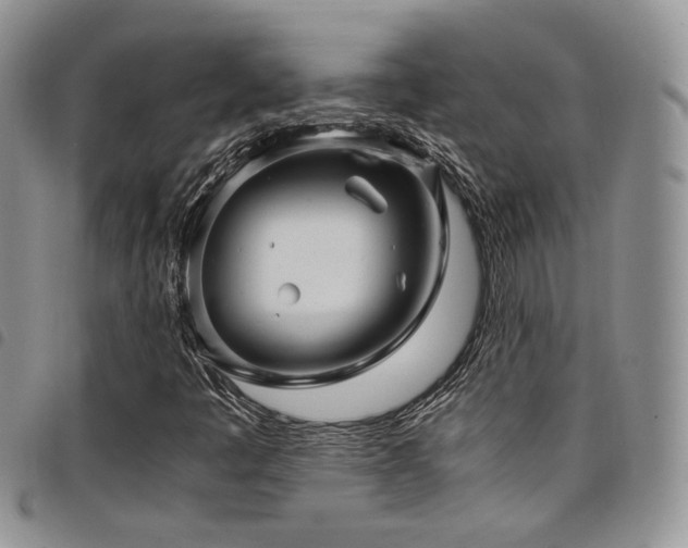 X0000098221445200804241333