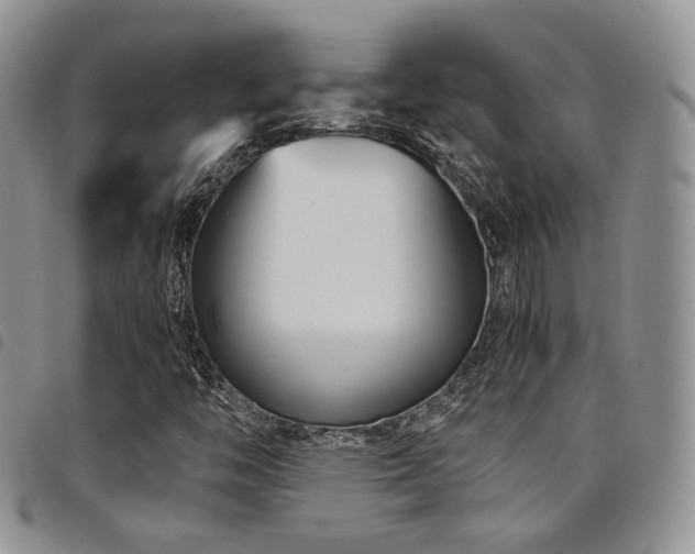 X0000098221446200804241333