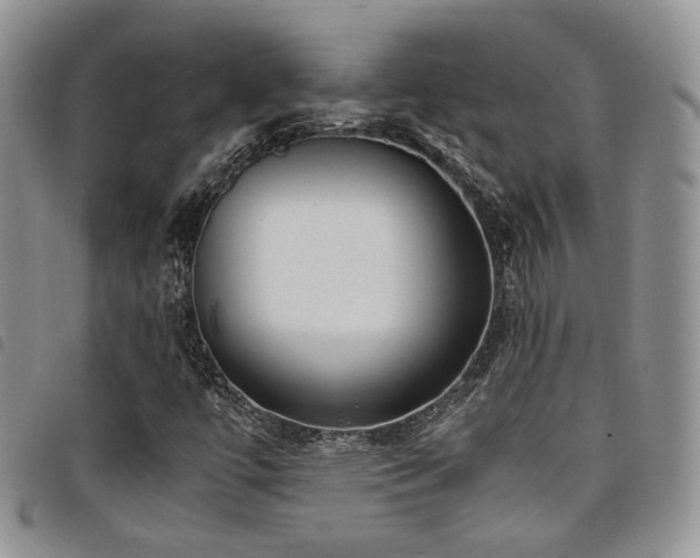 X0000098221447200804241333