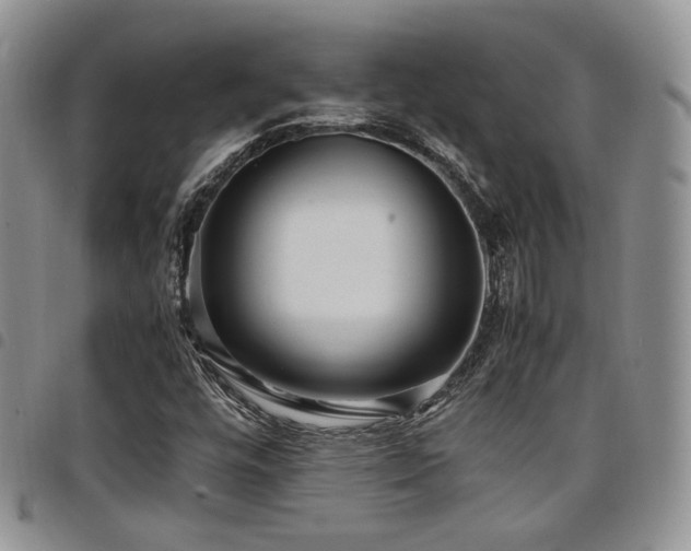 X0000098221448200804241333