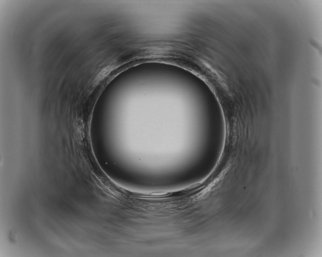 X0000098221449200804241333