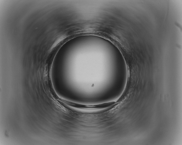 X0000098221450200804241333