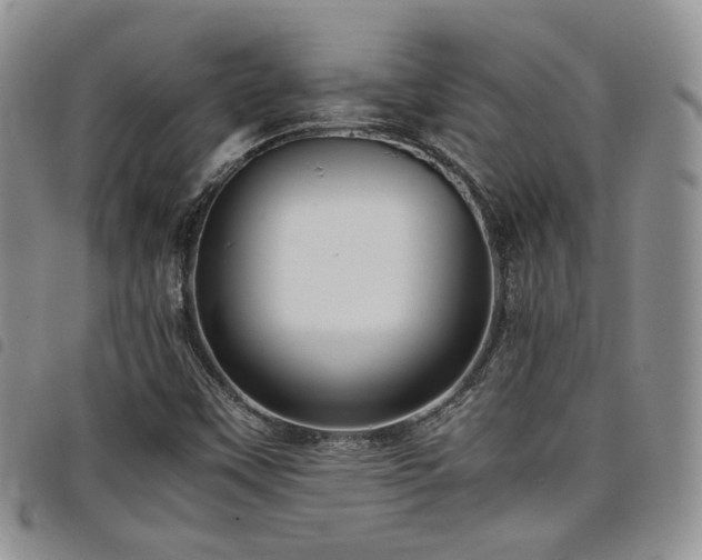 X0000098221451200804241333