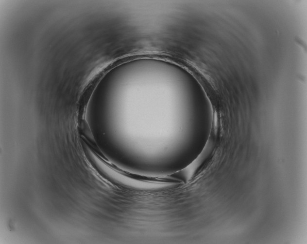 X0000098221452200804241333