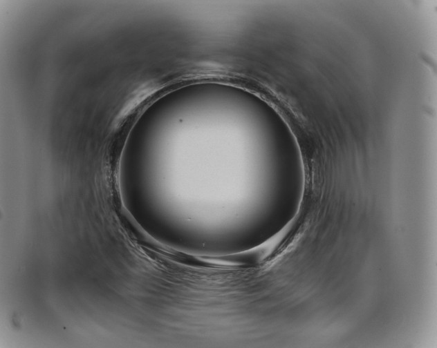 X0000098221453200804241333