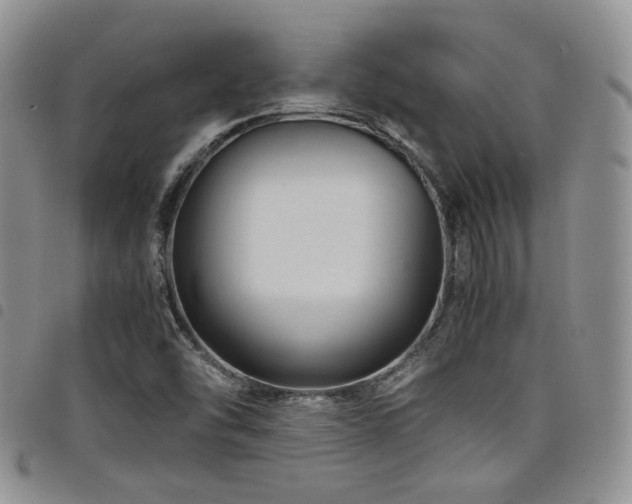 X0000098221454200804241333