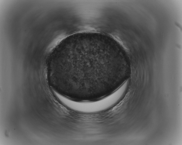 X0000098221455200804241333