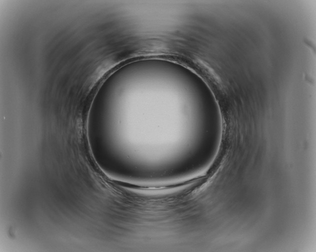 X0000098221457200804241333