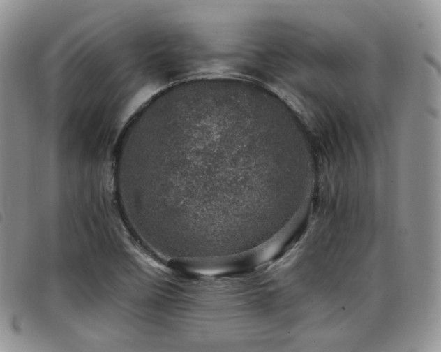 X0000098221458200804241333