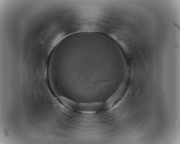 X0000098221459200804241333