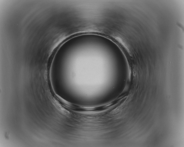 X0000098221460200804241333