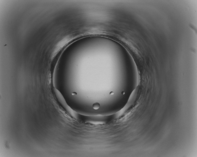 X0000098221461200804241333