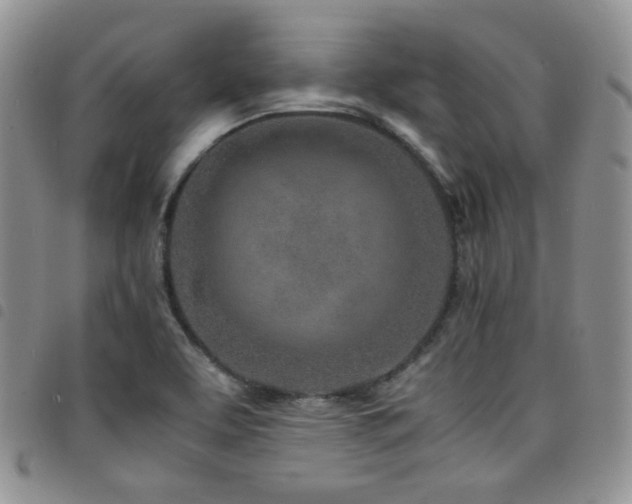 X0000098221463200804241333