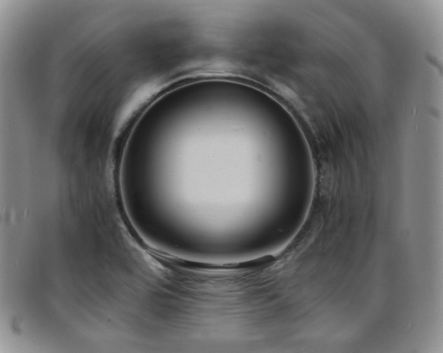 X0000098221464200804241333