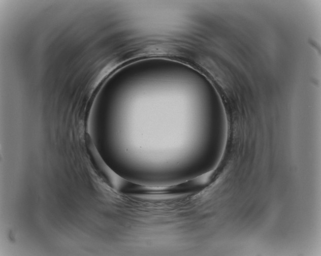 X0000098221465200804241333