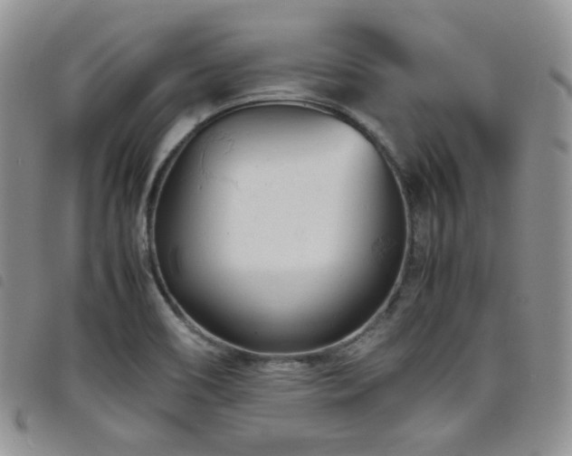 X0000098221466200804241333
