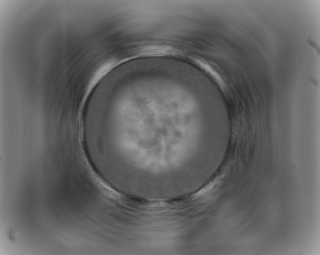 X0000098221467200804241333